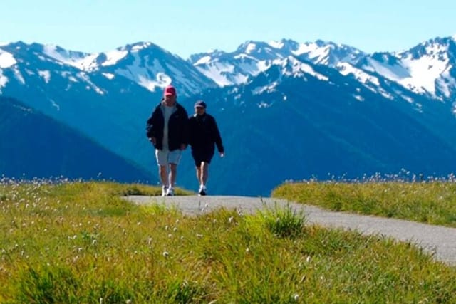 Explore Olympic National Park from Seattle through Van /Ferry - Photo 1 of 9